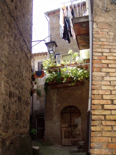 P1010039
