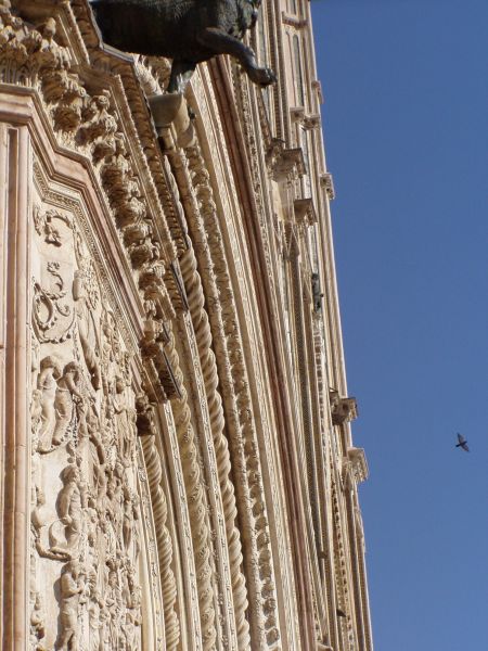 P1010079