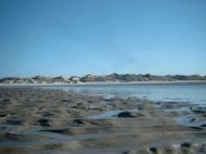image11