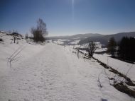 DSC09267.jpg