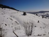 DSC09268.jpg