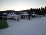 DSC09287.jpg