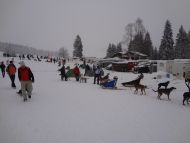 DSC09330.jpg