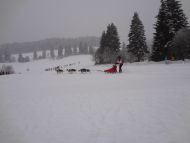 DSC09336.jpg