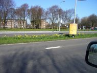 p1000167