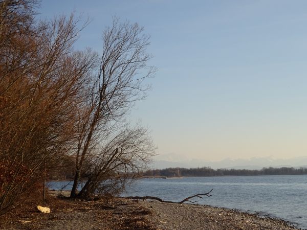 DSC00008