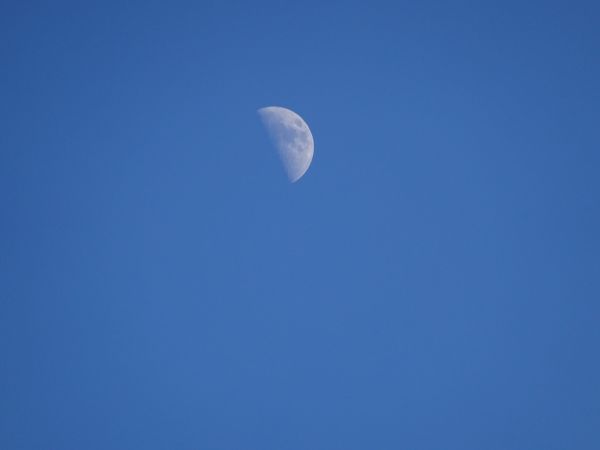 DSC00010