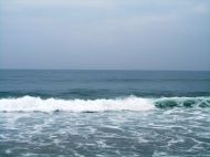img_8285