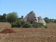image33