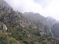 image36