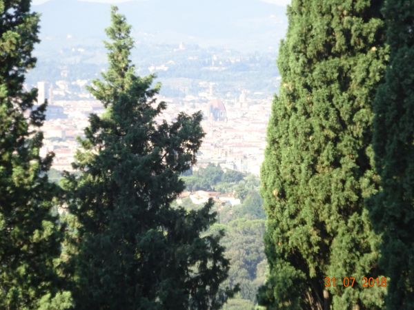 DSC02219