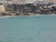 20150511-138.jpg