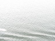 20110824-24.jpg
