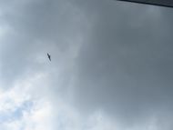 20110824-26.jpg