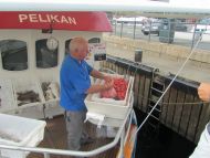 20110825-158.jpg