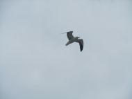 20110825-201.jpg
