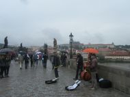 IMG_8863