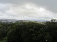 IMG_6013