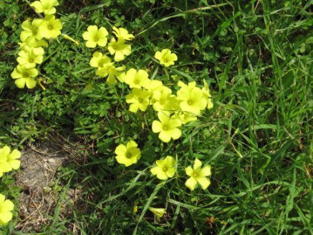 image131