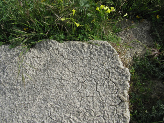 image150
