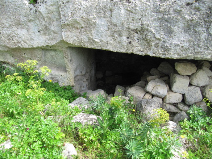 image305