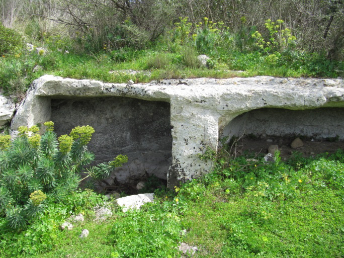 image306