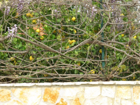 image54