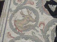 image201