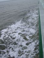 20070222-13.jpg