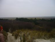 20070222-31.jpg
