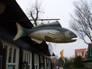 20070223-47.jpg