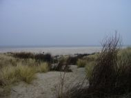 20070223-48.jpg