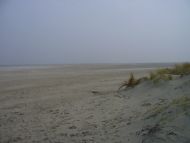 20070223-49.jpg