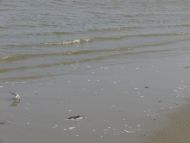 20070223-56.jpg