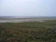 20070223-69.jpg