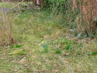 20070225-84.jpg