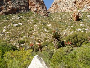 203