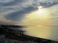IMG_2595